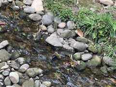 -青城两河漂流