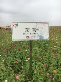 -中国陶瓷谷