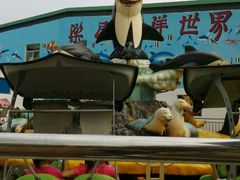 android_upload_pic-水濂山乐民游艺园