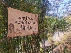 -广州白江湖森林公园