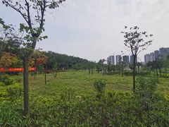 -金山植物公园