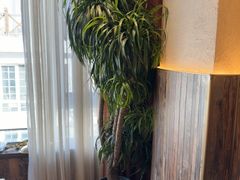 -慢丽江·云南野生菌土鸡锅(付家庄店)