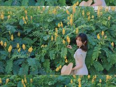 -光明小镇欢乐田园