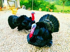 -云漫湖生态度假公园