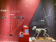 -国家自然博物馆