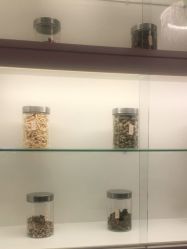 -诗媛嘉美健康管理中心(金桥店)