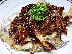 申城熏鲳鱼-上海和平饭店龙凤厅 Dragon Phoenix