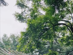 -成都市文化公园