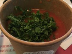 -油梨树 AVOCADO TREE(亮马桥店)
