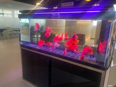 -上海和展广汽丰田4S店(老闵行店)