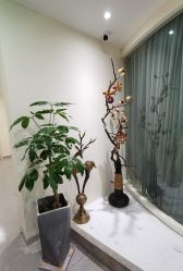 -康颜SPA自然疗愈皮肤管理中心