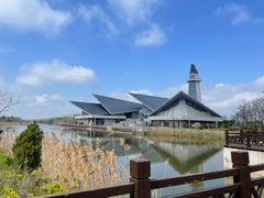 -盐城丹顶鹤湿地生态旅游区