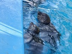 -泉城欧乐堡海洋极地世界