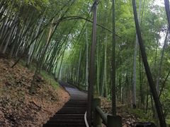 -藏龙百瀑风景区