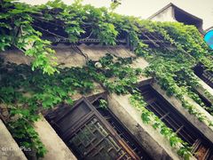 -蜜桃餐厅·古运河畔(南下塘店)