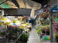 -曲阳花鸟市场(曲阳路店)