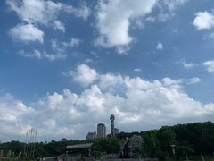 -烟台自然博物馆
