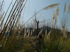 景点-西昌邛海湿地