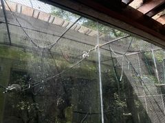 -杭州动物园