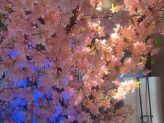 -野妹火锅(龙岗店)