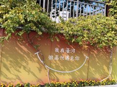 -南通濠河风景名胜区