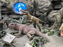 -国家自然博物馆