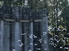 -音乐台