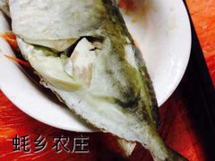 蚝乡农庄-蚝乡农庄(铁涌赤岸店)