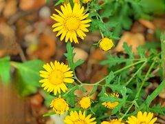 -山西通天峡景区