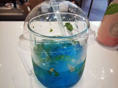 -飞行喵MR PILOT|猫舍·猫咖(静安大融城店)