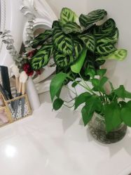 点击看大图 -痘院长·祛痘·皮肤管理