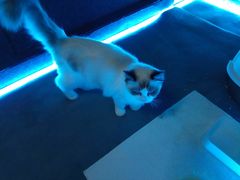 -零纪元VR体验馆·桌游(黄浦店)