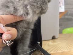 -思琪宠物医院(昆山花桥店)
