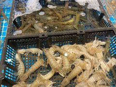 -九月海·海鲜自助(世纪东方店)