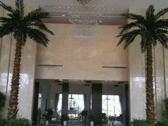 android_upload_pic-常州环球恐龙城维景国际大酒店