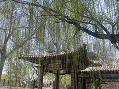-桃花堤公园