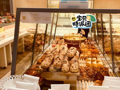 -蒲公英(五里店)