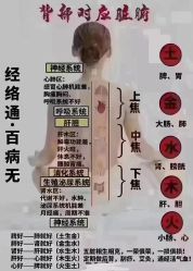 -丽减美瘦吧·减肥瘦身