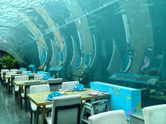 -涛·海底餐厅·美人鱼·自助餐·海底隧道(三亚海棠湾洲际度假酒店)