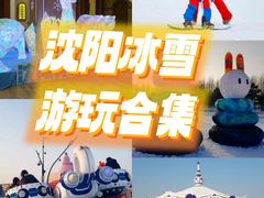 -沈阳奥体冰雪嘉年华