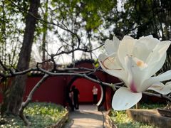 -成都武侯祠博物馆