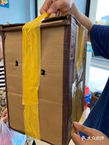 把狗装三得利乌龙茶的纸箱里带回家了