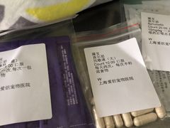 -爱侣宠医·鹦鹉专科·小型哺乳类·异宠专科(灵石路店)