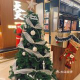 天天Plus｜是从新加坡来的圣诞老人呀🎄