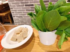 -大龙燚火锅(长寿路店)