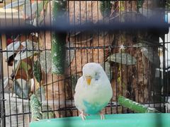 -丽江庭院之丽江往事(安定门店)