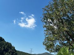-龙洞风景区-藏龙涧