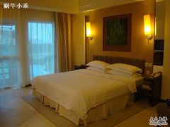 仙人掌豪华池景大床房1-三亚亚龙湾凯莱仙人掌度假酒店