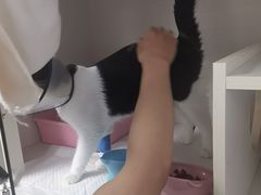-博特宠物医院24h犬猫全科.骨科·异宠