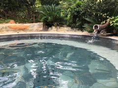 -剑河仰阿莎温泉小镇